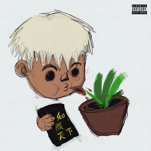 伊人网在线视频
