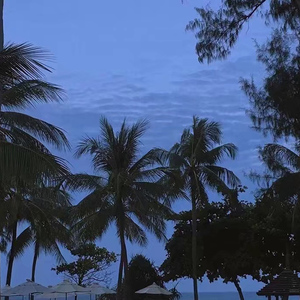 伊人网在线视频
